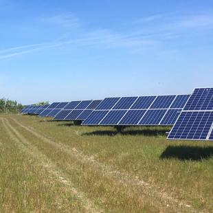 Triangle Farm solar panels